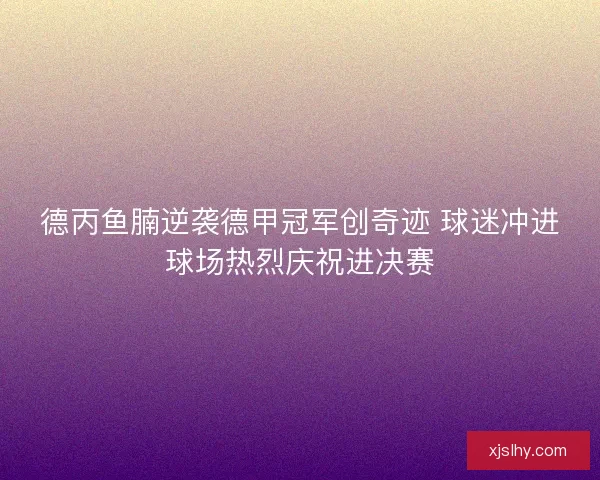 德丙鱼腩逆袭德甲冠军创奇迹 球迷冲进球场热烈庆祝进决赛